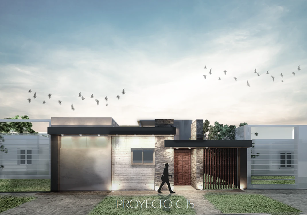 Proyecto C15